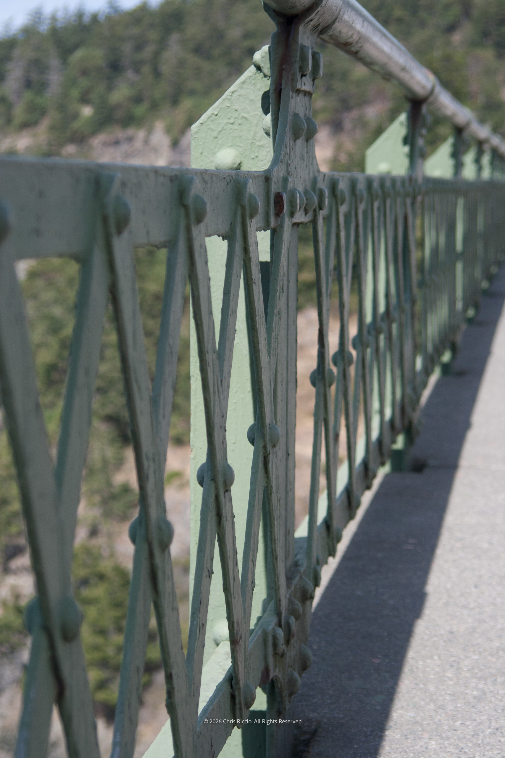 Bridge railing